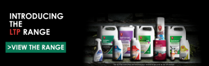 How to Clean Victorian Tiled Walls and Floors - Refurbish Edwardian Flooring with Specialist Supplies LTP Quartzcare