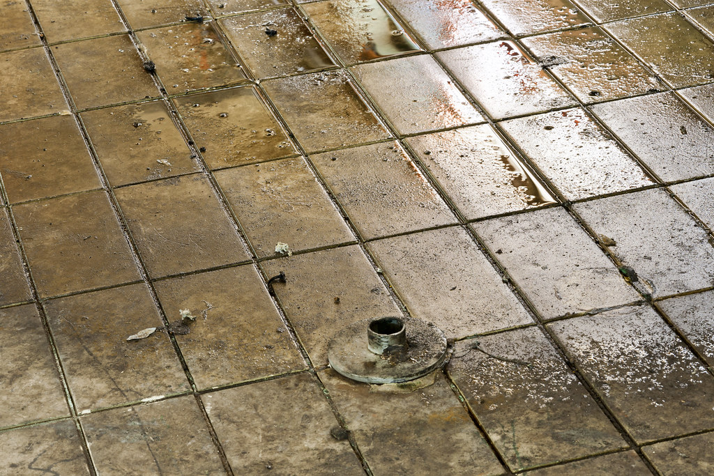 oil and grease stain remover